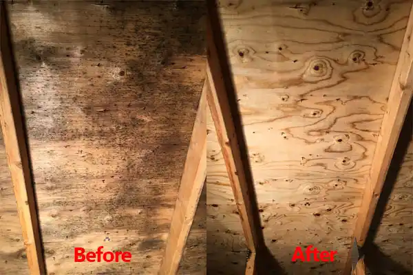 water damage restoration service Lakota